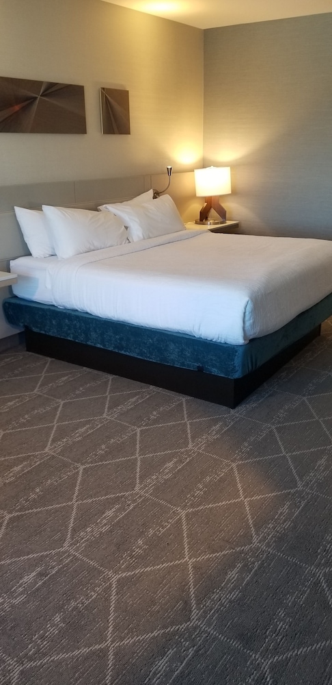 Hilton Garden Inn Colorado Springs Downtown - photo 11