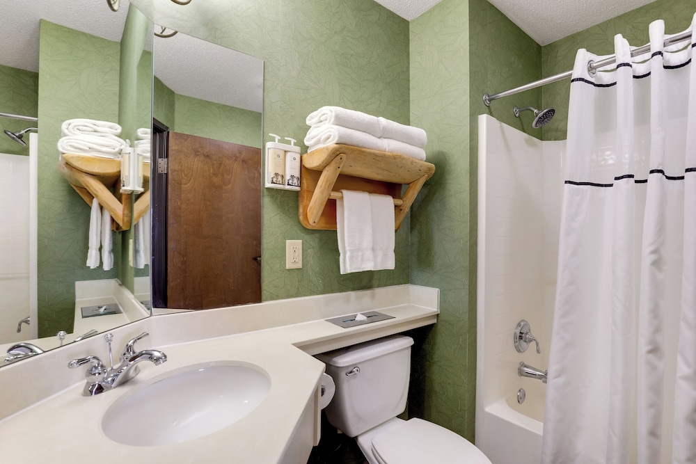 Stoney Creek Hotel La Crosse Onalaska - photo 24