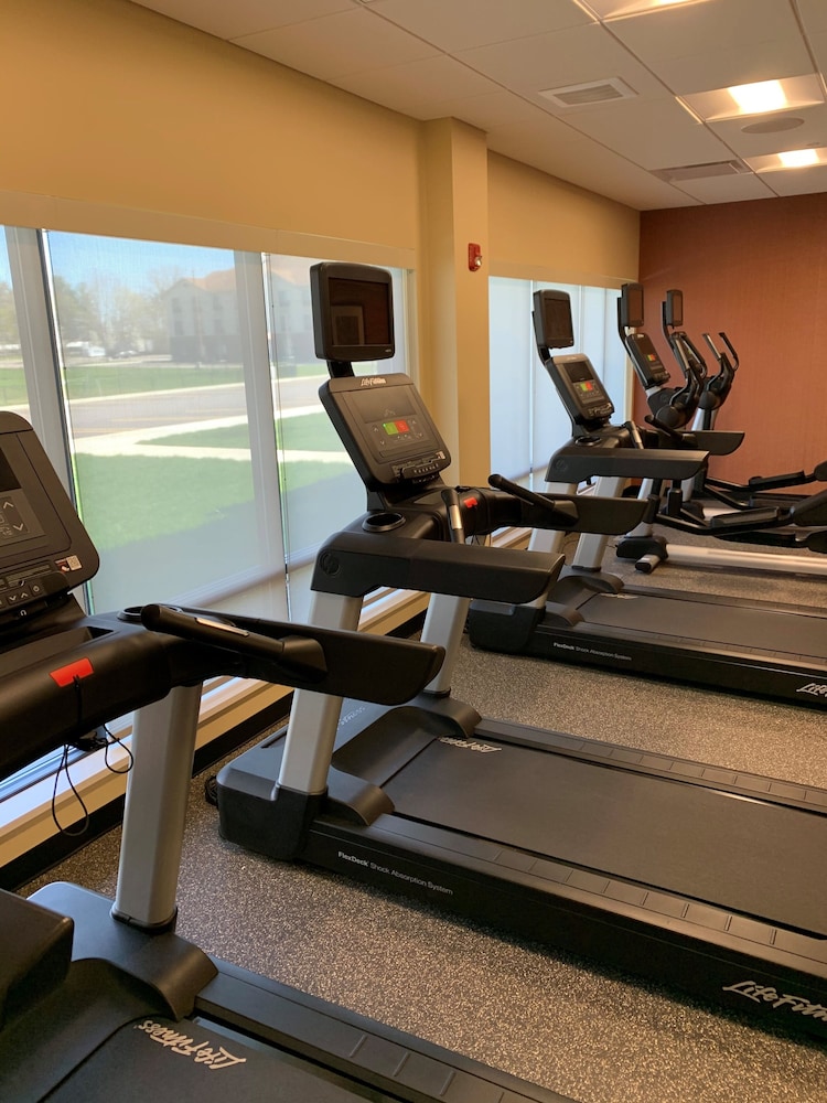 TownePlace Suites by Marriott Detroit Belleville - photo 37