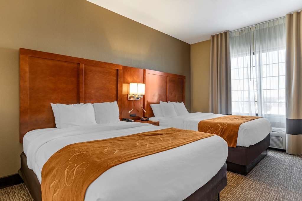 Comfort Suites Grand Rapids South - photo 25