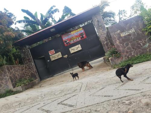 Eco Aldea Topacio — Sasaima — photo 3