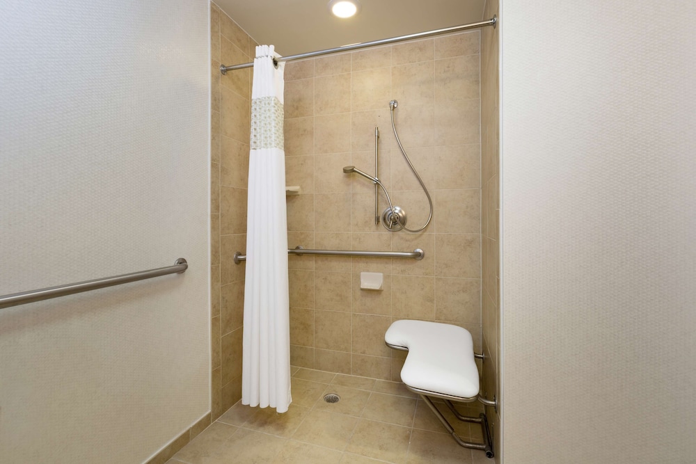 Hampton Inn Houston Near The Galleria - photo 18