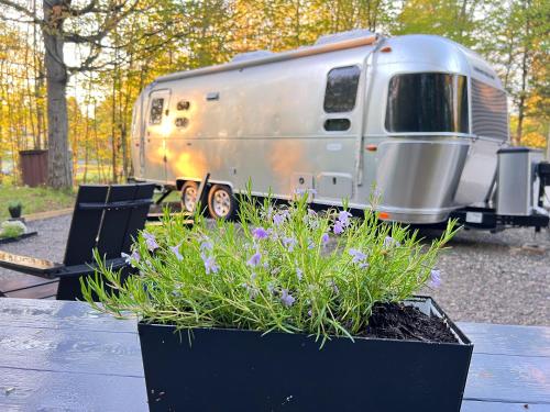 Glamping Guesthouse Airstream Experience 20771006 — Sackets Harbor