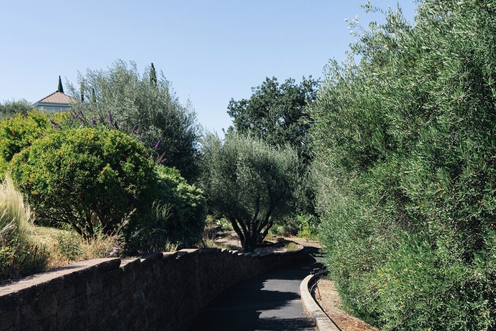 Le Petit Pali St. Helena - photo 59