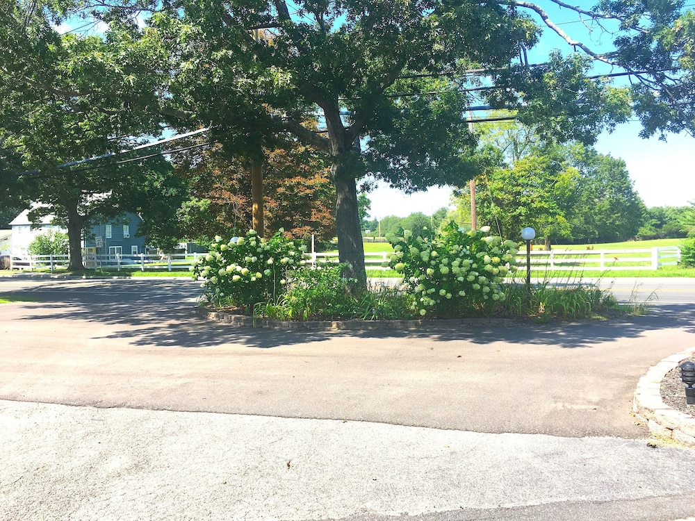 Shorewood Inn - photo 24