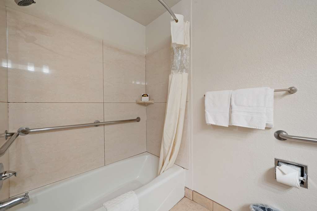 Best Western Plus Executive Inn & Suites - photo 43