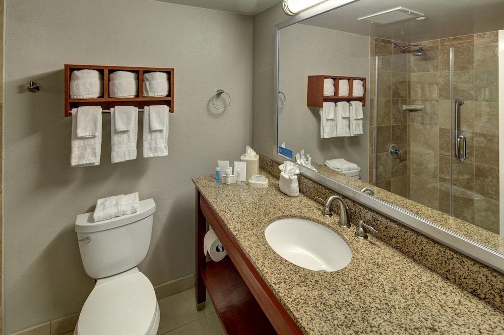 Hampton Inn Miami Coconut Grove Coral Gables - photo 16