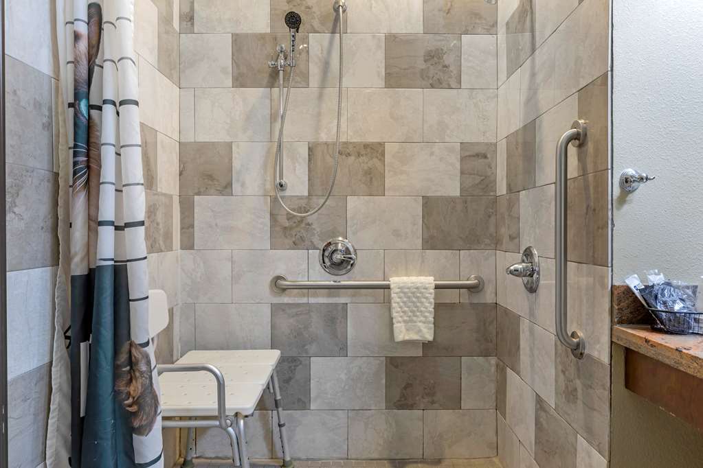 Best Western Plus Fort Stockton Hotel - photo 33