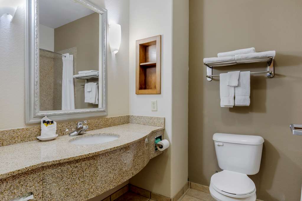 Best Western Plus Sweetwater Inn & Suites - photo 13