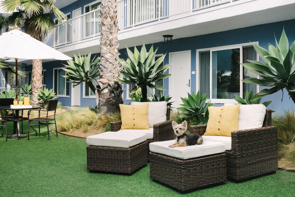Bayside Hotel - photo 45