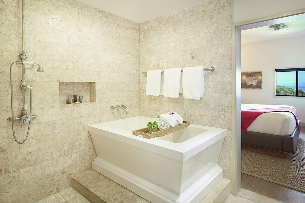 Hotel Wailea Relais & Chateaux Adults Only - photo 37