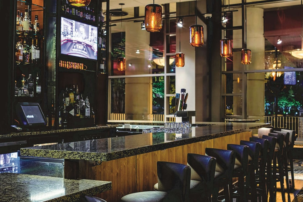 Embassy Suites by Hilton Atlanta at Centennial Olympic Park - photo 54