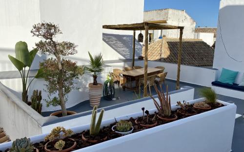 132 La Casa del Pintor — 4-Star Luxury Hotel in Tarifa, Spain