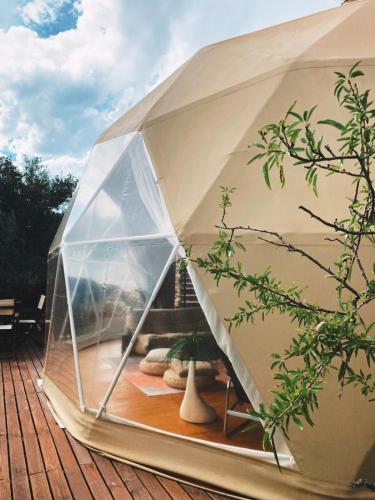 Glamping geodesic dome in secluded eco retreat — hotel in Alozaina