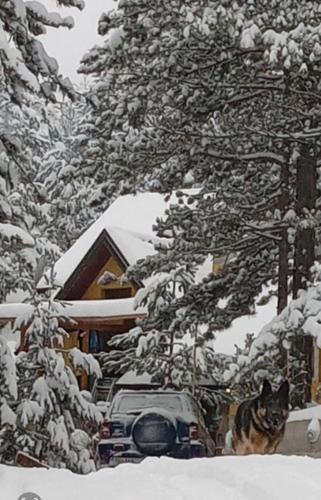 Planinska kuca Lunjo & Vuk in Zlatibor, Serbia