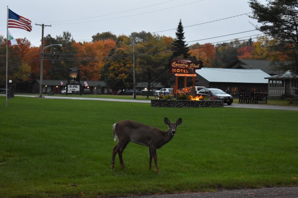 Country Club Motel - photo 16