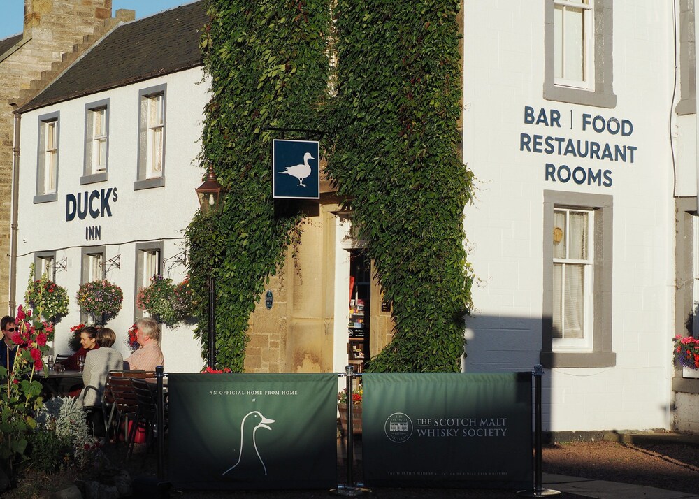 Ducks Inn - carbon neutral hotel in Edinburgh