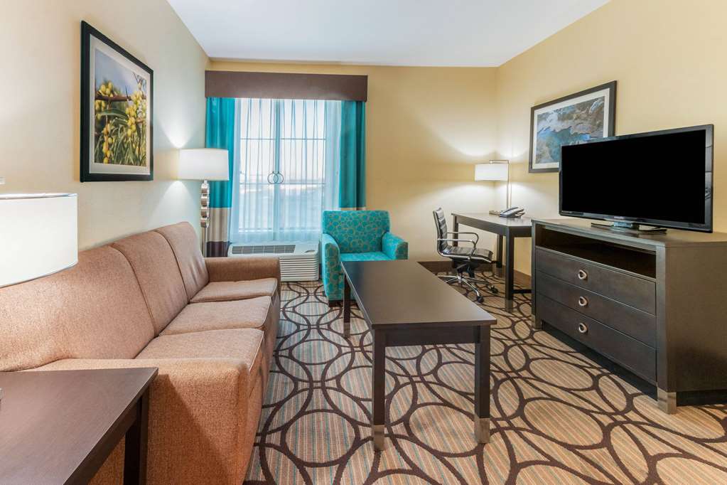 La Quinta Inn & Suites by Wyndham Carlsbad - photo 37