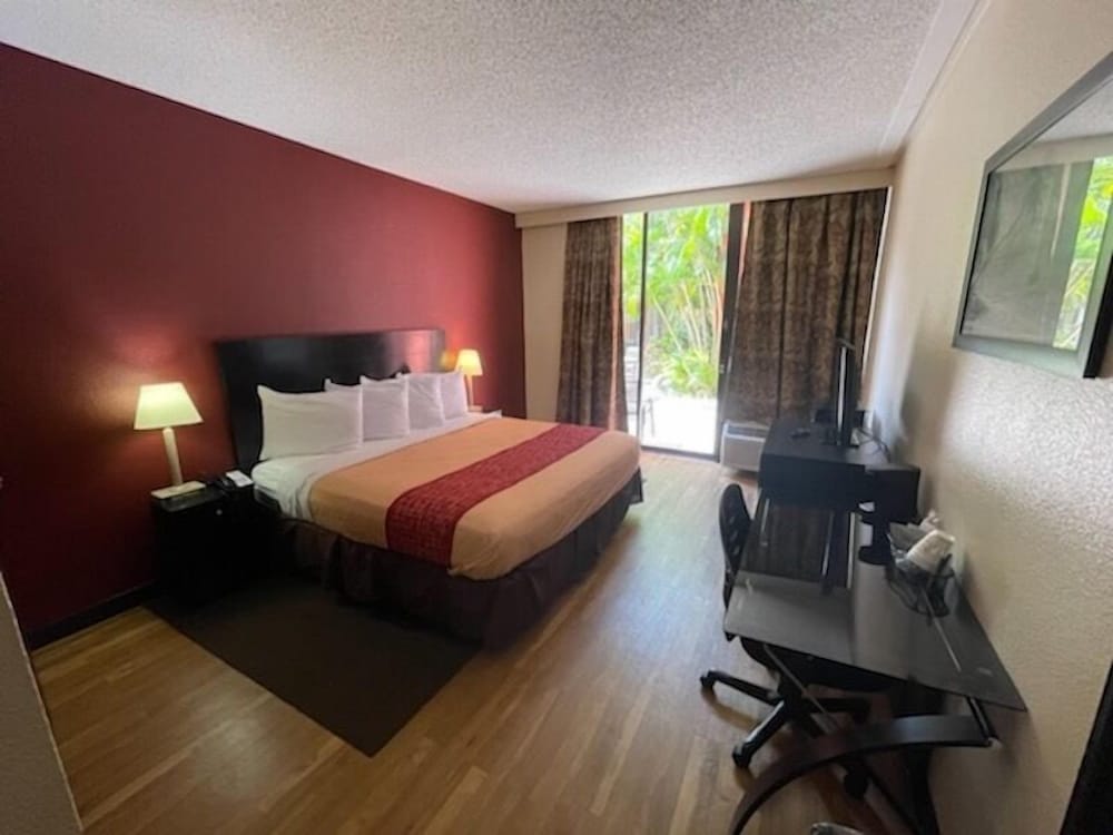 Tropical Palms Hotel - photo 10