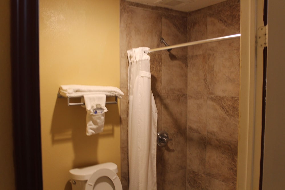 The Executive Inn & Suites - photo 11