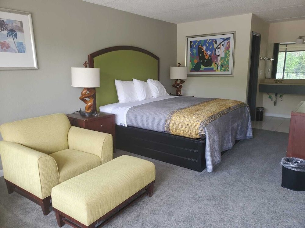 Palmetto Inn & Suites - photo 11