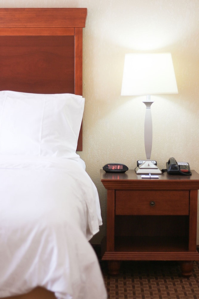 Holiday Inn Express & Suites Center by IHG - photo 8