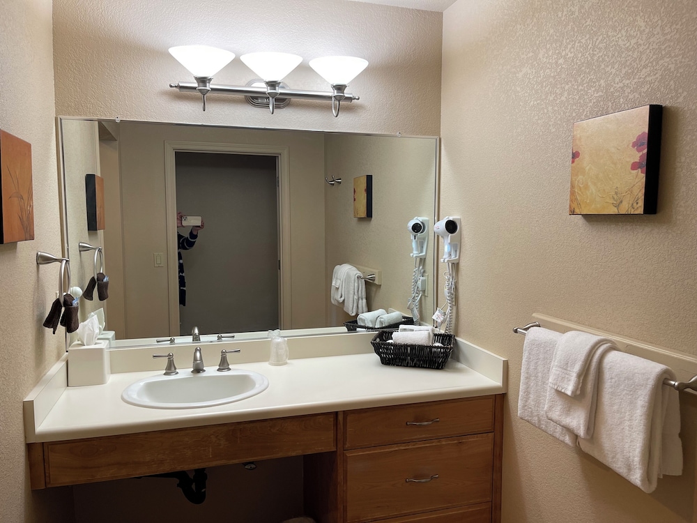Mount Shasta Resort - photo 42