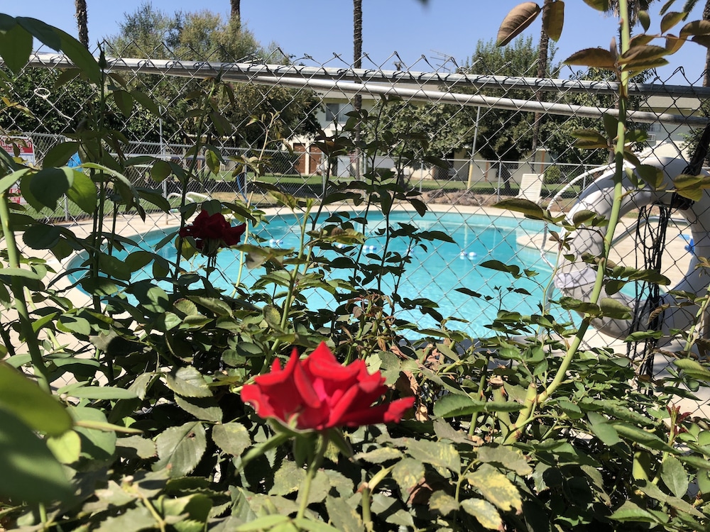 99 Palms Inn & Suites - photo 57