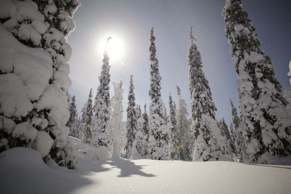 Lapland Hotels Snow Village in Kittilae, Finland