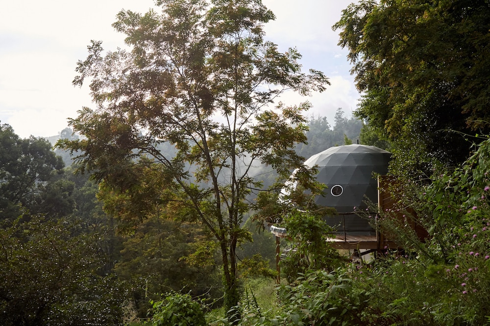 The Glamping Collective - photo 7