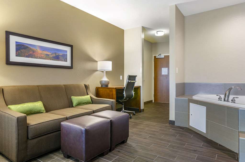 Comfort Suites Helena Airport - photo 13