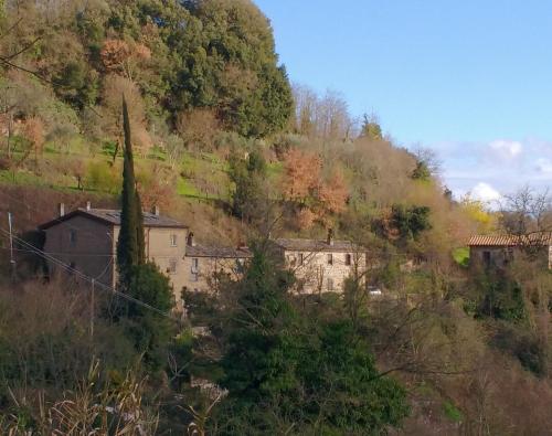 Rustico — 4-Star Luxury Hotel in Bagnoregio, Italy