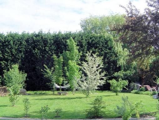 Aux Plumes de Grigy in Metz, France