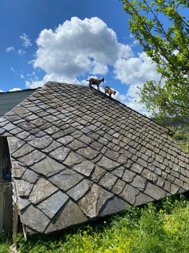 Etno Milikina ravan in Nova Varos, Serbia