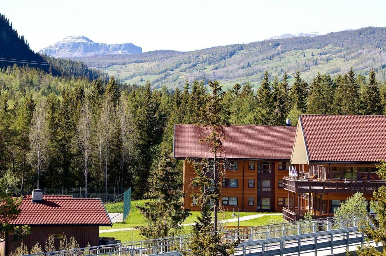 Actif 106 Hallingheim Apartment Ski Inn Ski Ut 18125205 — Al