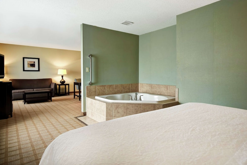 Hampton Inn & Suites Detroit Canton - photo 54