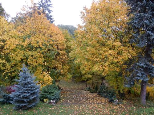 Gospodarstwo Agroturystyczne Dworek Janowicki — Aleksandrow — photo 3