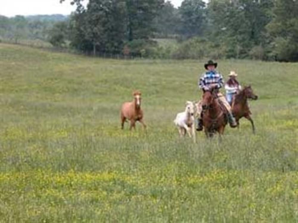 Seventy four Ranch - photo 18