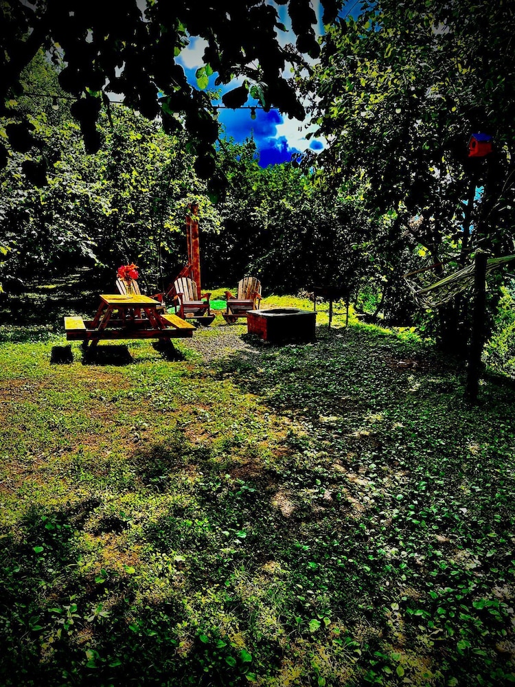 BBQ/picnic area