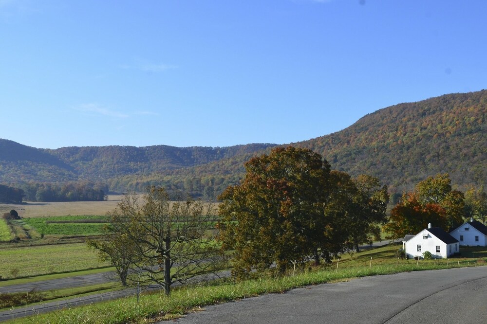 Mountain Cove Farms Resort - photo 32