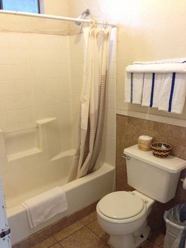 Sahara Hot Springs Family Park & Inn - photo 7