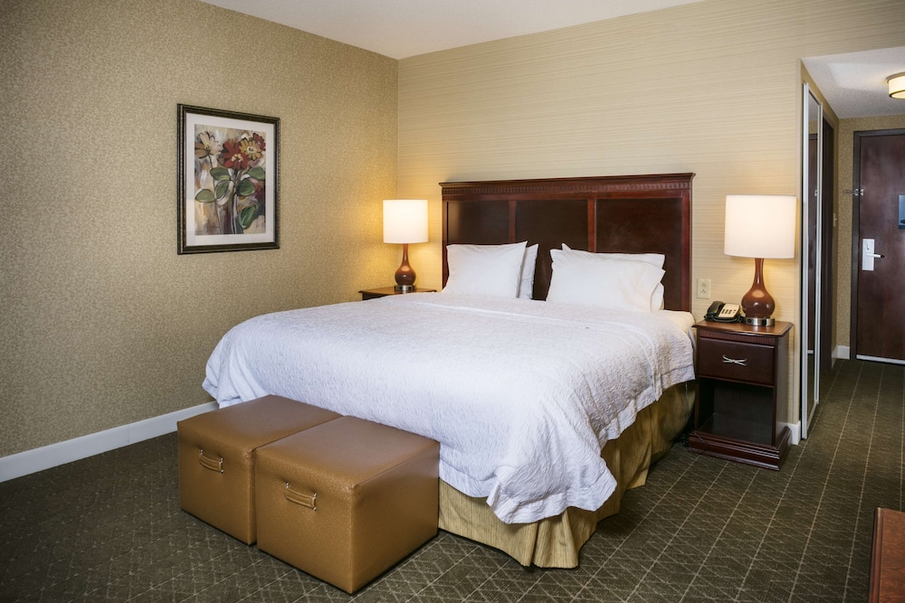Hampton Inn & Suites Toledo Perrysburg - photo 20