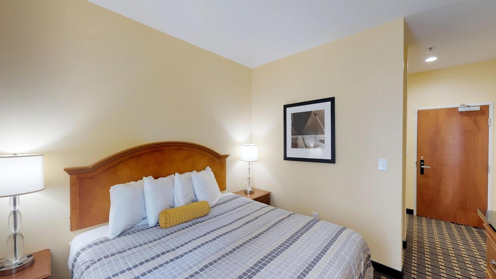 Mt. Rose Hotel - photo 16