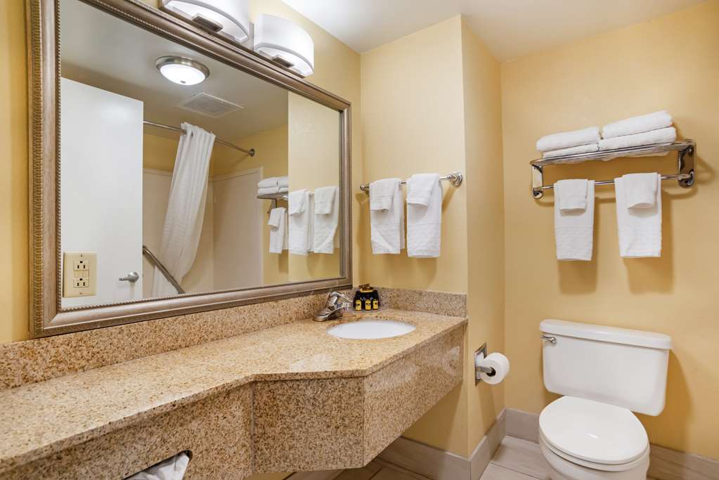Best Western Plus Oak Mountain Inn - photo 35