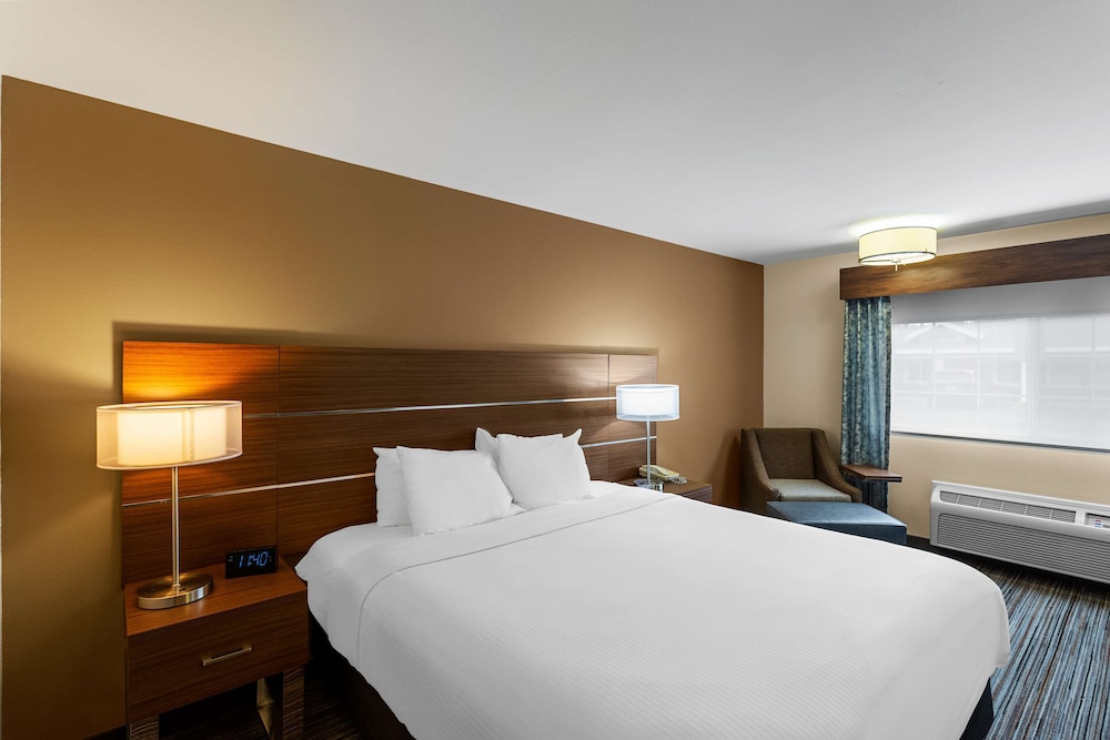 Best Western Rose Quartz Inn - photo 13