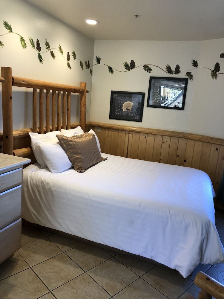 Fireside Lodge - photo 7