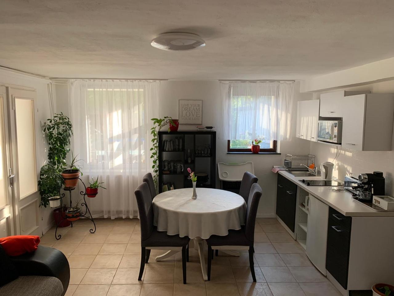 Piknik Apartmant — Fertorakos — photo 4