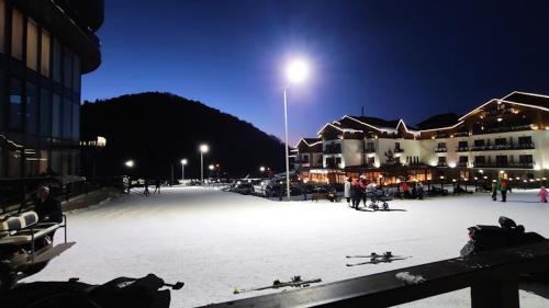 Bakuriani Krystal Resort Apartment A108