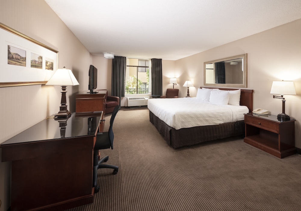 Concord Plaza Hotel - photo 10