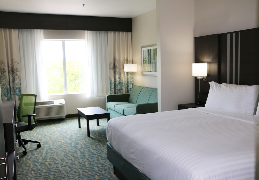 Holiday Inn Express & Suites Hendersonville SE Flat Rock by IHG - photo 5